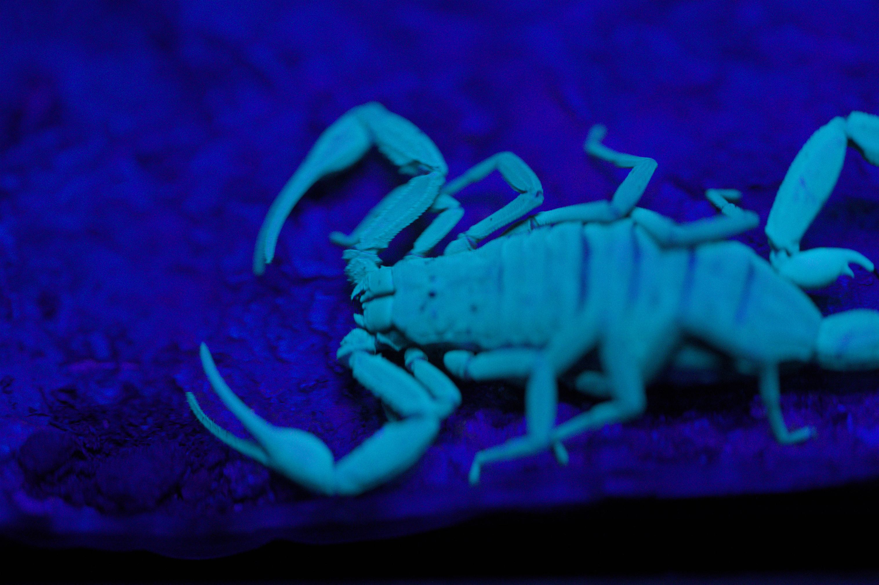 2025/10/12 - zoo/DSC_0267.jpg